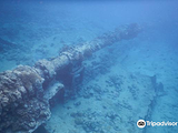 Wreck of the Matai