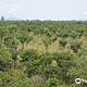 Lusaka National Park