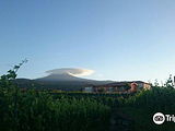 Vivera Etna Winery