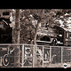 D51 222 steam locomotive