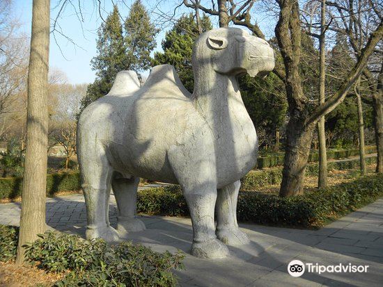 固城遗址旅游景点图片