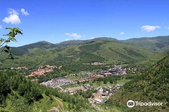 禄丰五台山wutai mountain