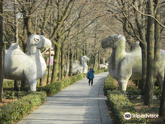 固城遗址旅游景点图片
