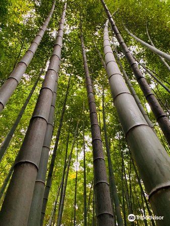 虞山公园旅游景点图片