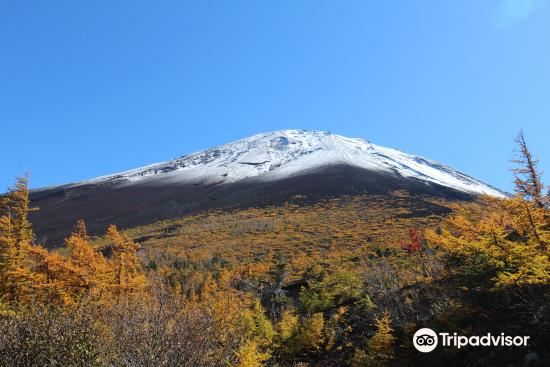 2021奥庭自然公园-旅游攻略-门票-地址-问答-游记点评,富士山旅游旅游