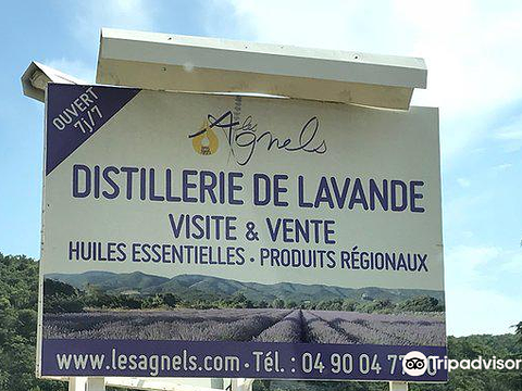 Les Agnels Distillerie de Lavande