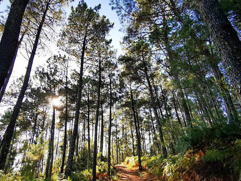 Parque Natura Monte Aloia旅游景点图片