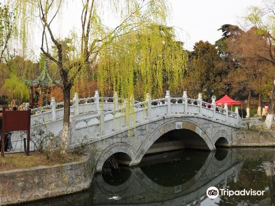 莫愁湖旅游景点图片