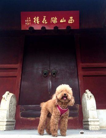 叆叇岭景区旅游景点图片