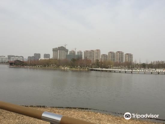 太仓天镜湖旅游景点图片