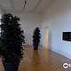 Contemporary Art Gallery (Kunsthalle Bern)
