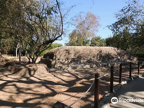 Copalita Ecological Park & Ruins旅游景点图片