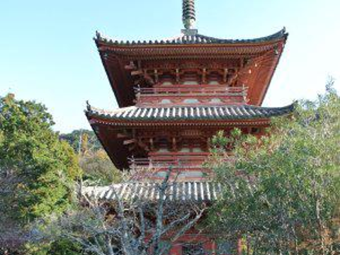 太山寺旅游景点图片