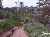 Peters Canyon Regional Park