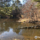 Jefferson Memorial Forest