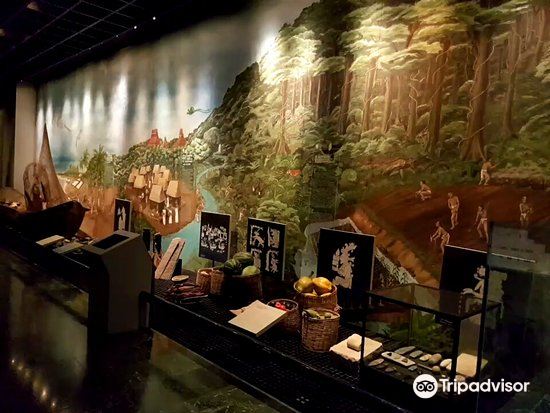 Museum de la cultura maya旅游景点图片