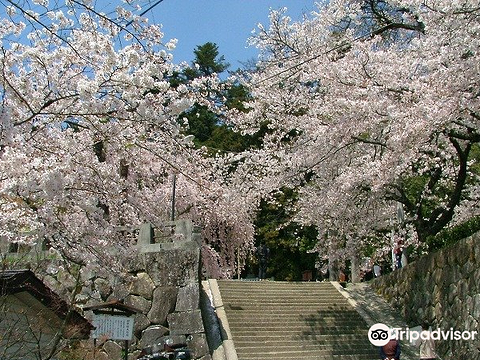 Omi no Sato Koryu Center旅游景点图片