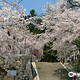 Omi no Sato Koryu Center