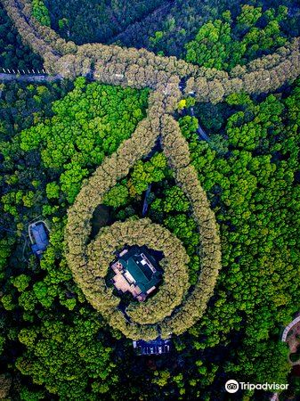 美龄宫旅游景点图片