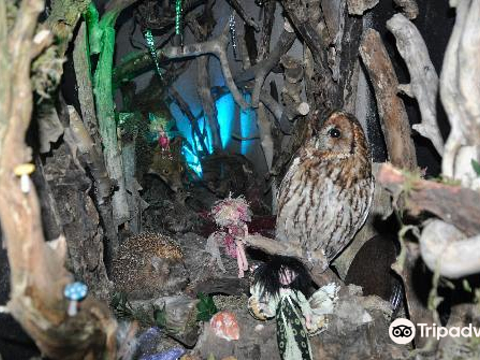 Leprechaun and Fairy Underground Cavern旅游景点图片