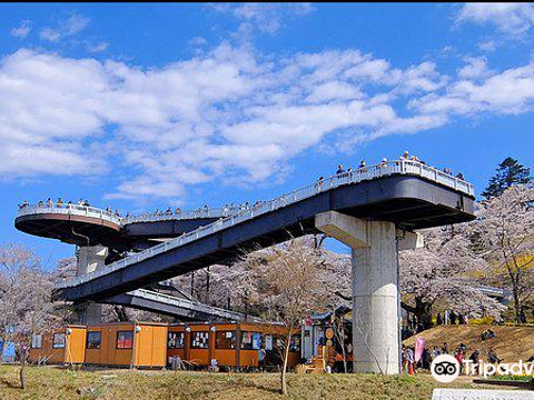 Shibata Senokyo Bridge旅游景点图片