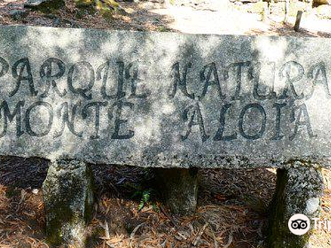 Parque Natura Monte Aloia旅游景点图片