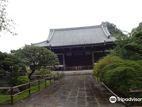 観泉寺旅游景点图片