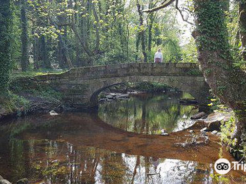 Rivelin Valley Nature Trail旅游景点图片