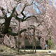 Omi no Sato Koryu Center