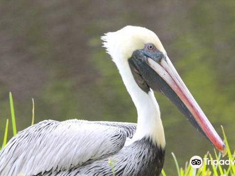 veterans park at rivergate