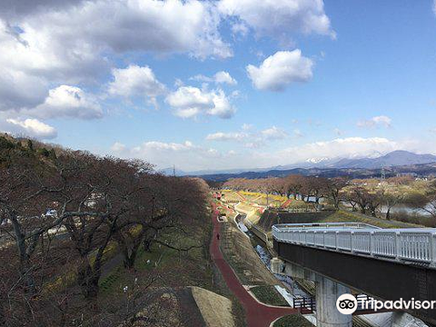 Shibata Senokyo Bridge旅游景点图片