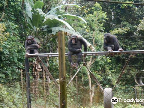 Mefou National Park