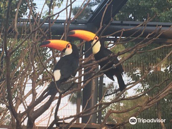 上方山森林动物世界旅游景点图片