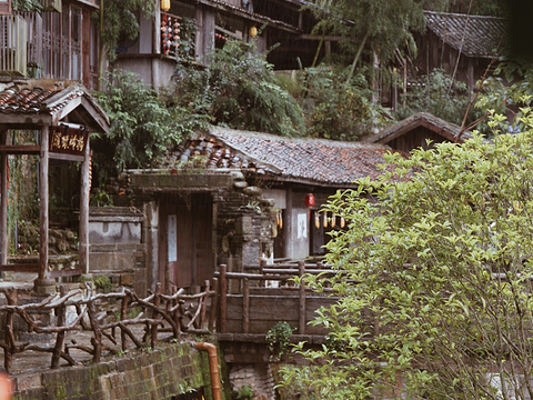 泊园茶村