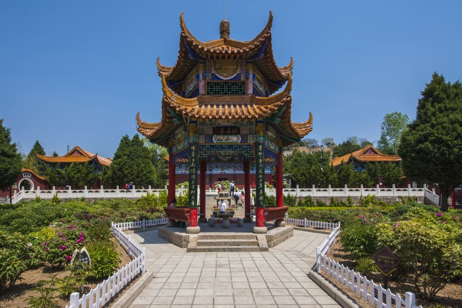 古县牡丹文化旅游区天下第一牡丹