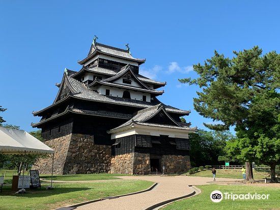 21松江城 旅游攻略 门票 地址 问答 游记点评 松江市旅游旅游景点推荐 去哪儿攻略