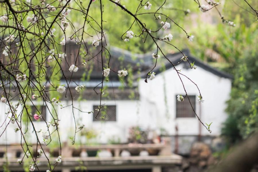 大运河书法公园