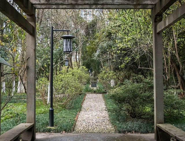 浙江大学(华家池校区)-植物园