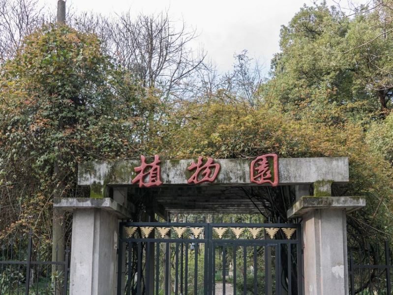 浙江大学(华家池校区)-植物园