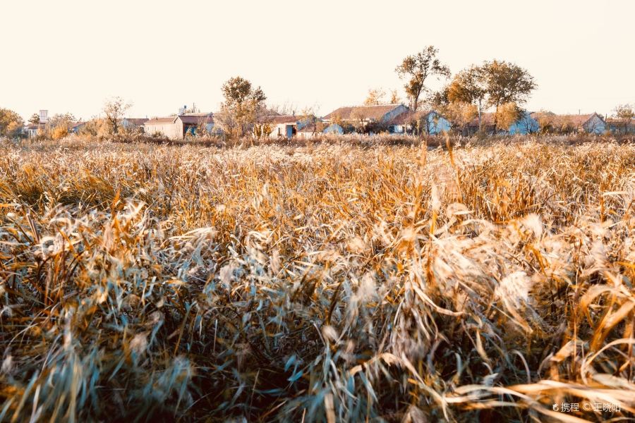 禹王国家湿地公园