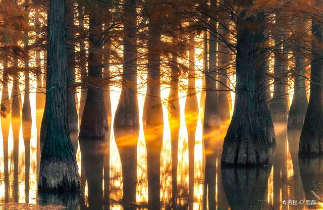 止马岭森林公园