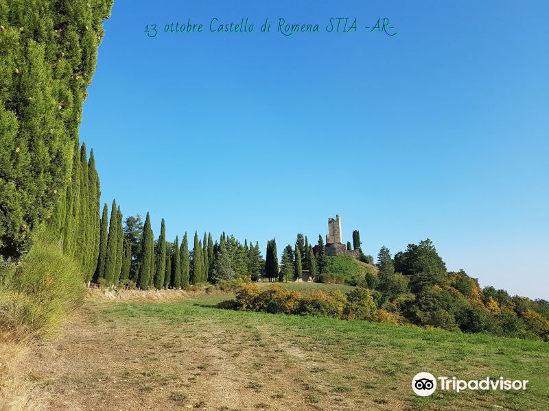 Castello di Romena旅游景点图片