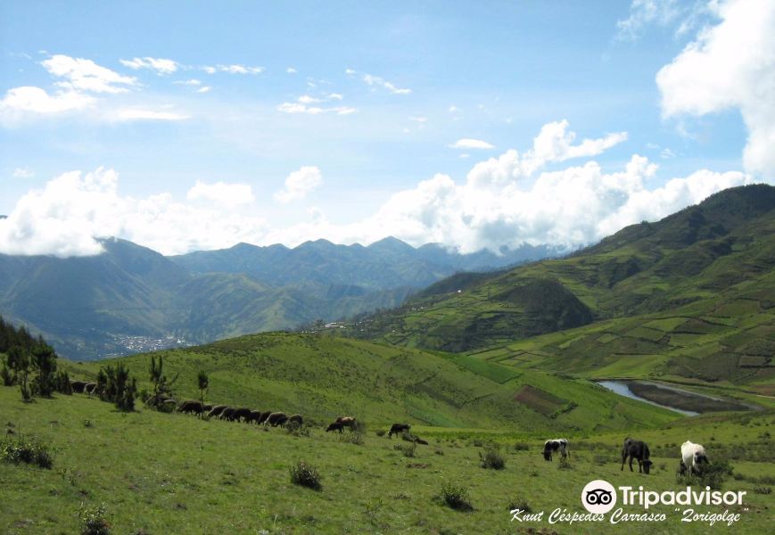 Sitio Arqueológico Qocha qasa旅游景点图片