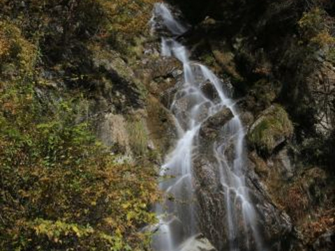 Tori Falls