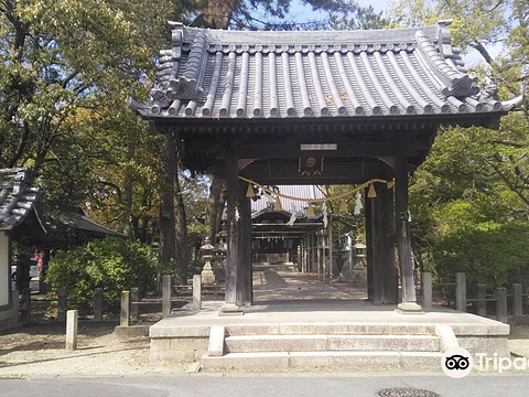 立坂神社的图片