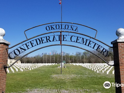 奥科洛纳旅游图片