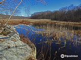 Mahlon Dickerson Reservation