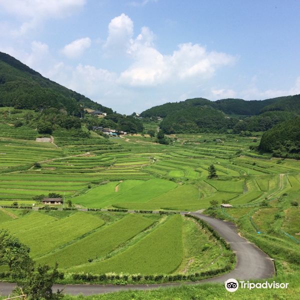 Ohaganishi Rice Terraces旅游景点图片