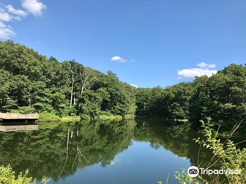 Rock Springs Conservation Area & Nature Center