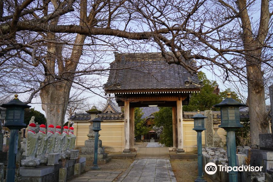 Daito-ji Temple旅游景点图片